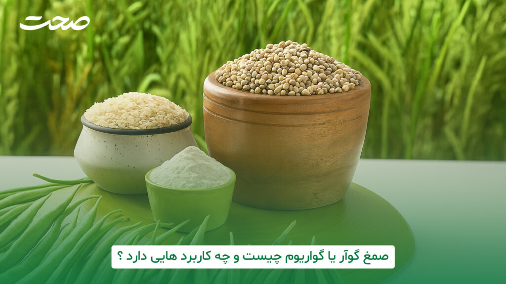 صمغ گوآر یا گوارگام چیست و چه کاربردی هایی دارد؟