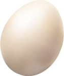 Vector Smart Object egg
