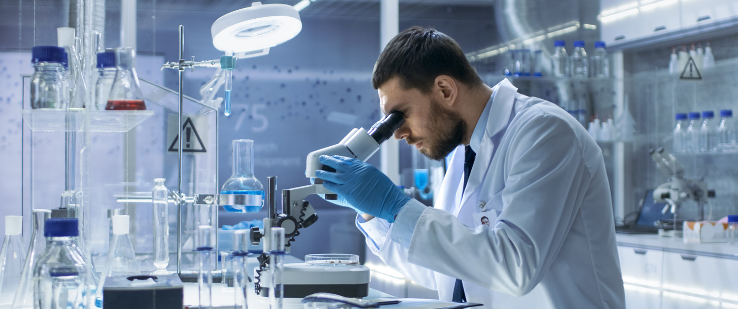 2 گیاه بابونه