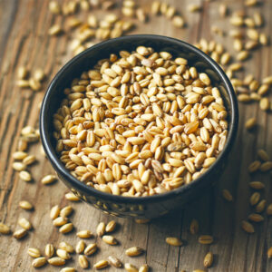 جوانه گندم گیاه بابونه